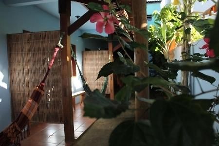 Pousada Itaoca Itacaré Buitenkant foto